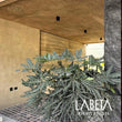 Adoquín Pórfido Gris Veta Café en diseño de exteriores con pérgola | Piedra natural mexicana para vialidades | Piedras Labeta