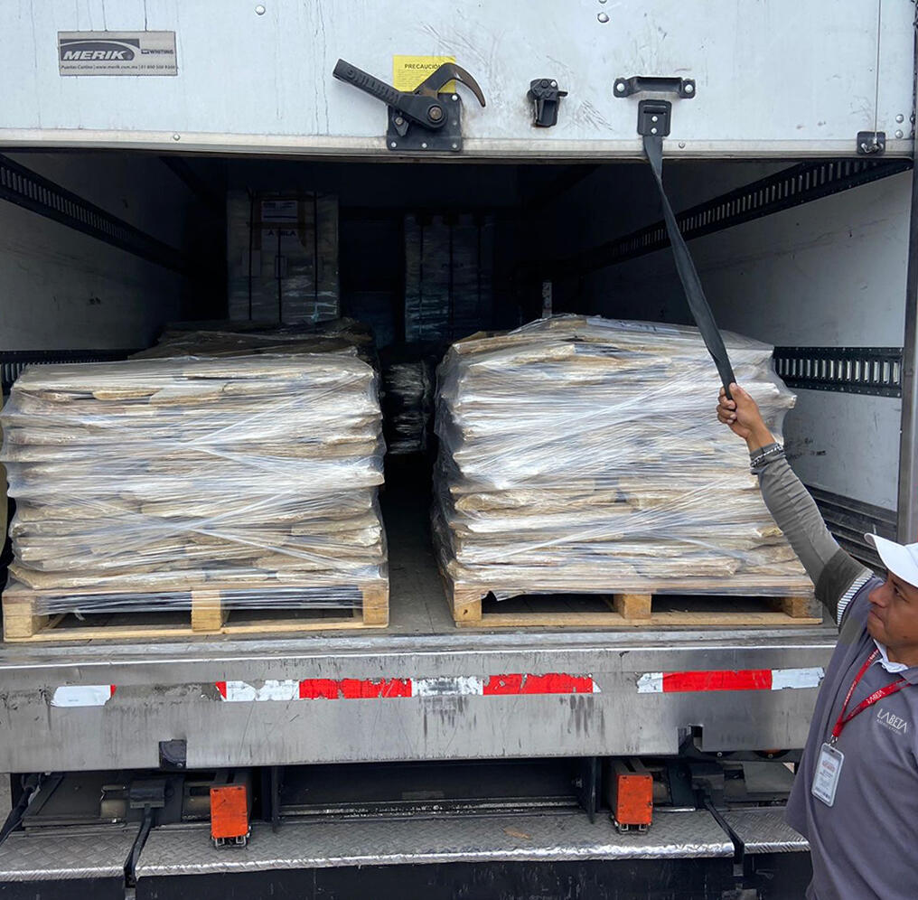 Tarima de Piedra Dorada lista para envío — material seleccionado empacado para entrega nacional | Piedras LABETA