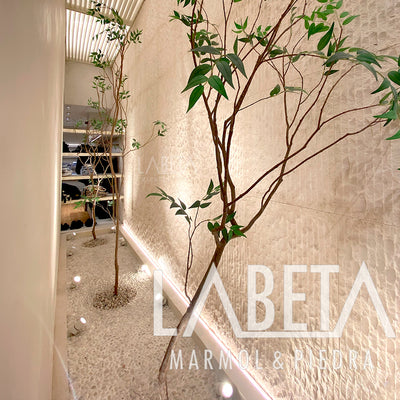 Piedra Blanco Veneto